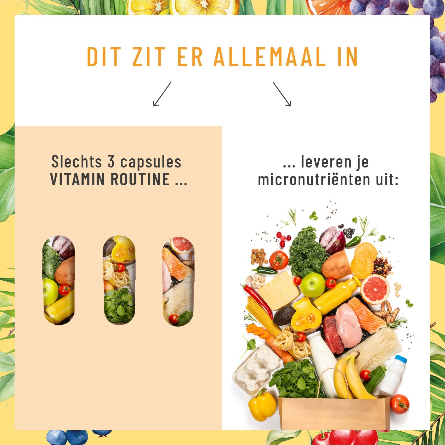 Vitaminquelle Multivitamin-Komplex NL Versorgung im Vergleich