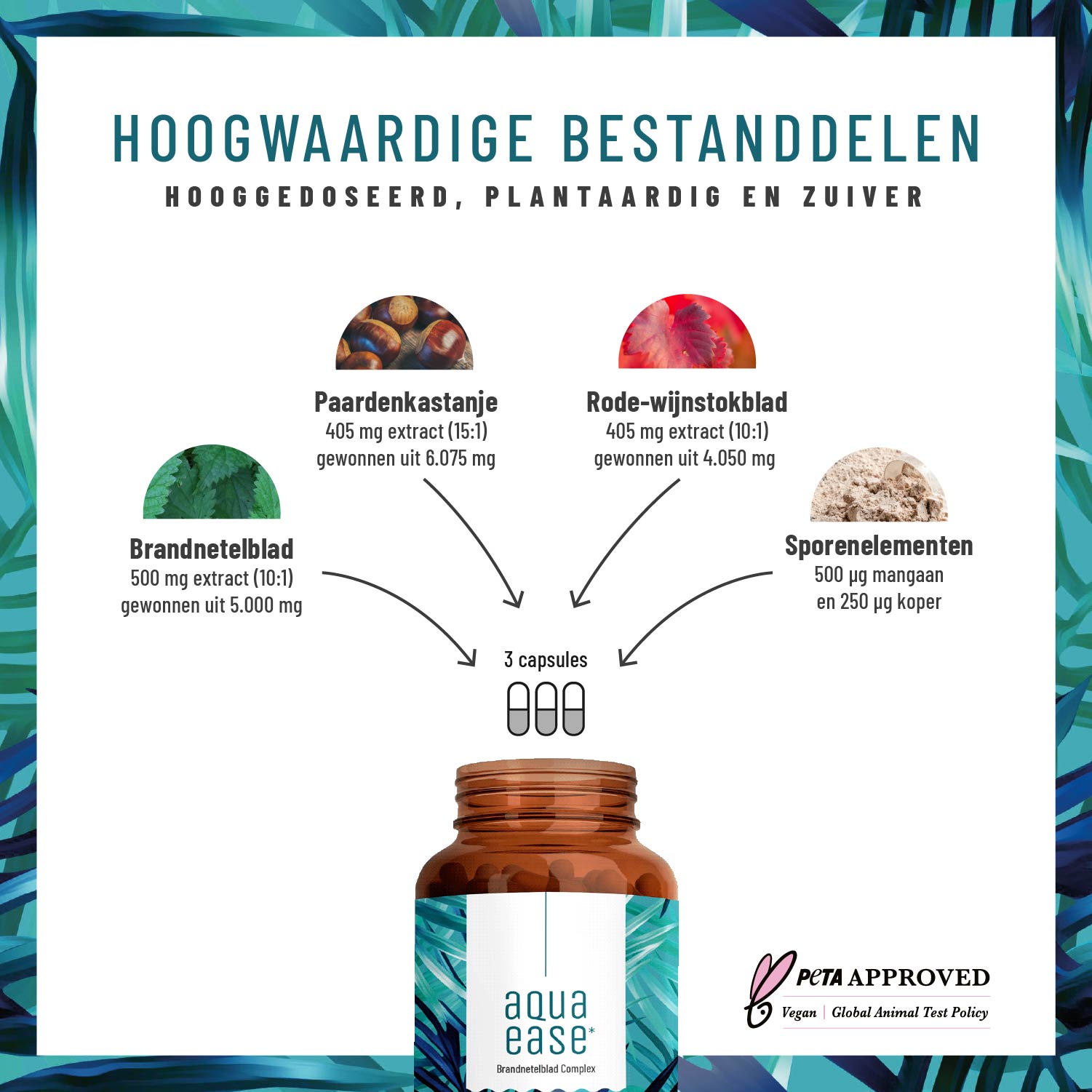 Wasserbalance Brennessel-Komplex Hochwertige Inhaltsstoffe NL Inhaltsstoffe